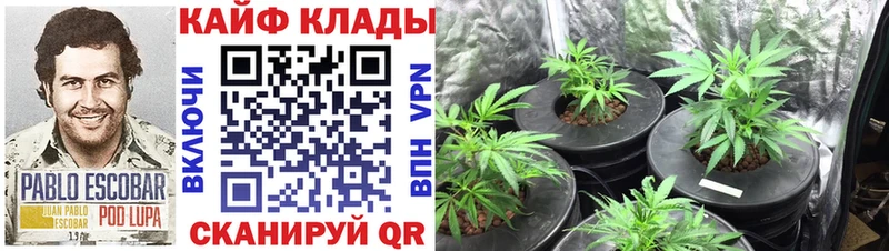 Где можно купить наркотики Заинск ГАШИШ  мега ссылки  Меф  Каннабис  КОКАИН  Лсд 25 