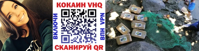 где можно купить   Заинск  COCAIN Fish Scale 