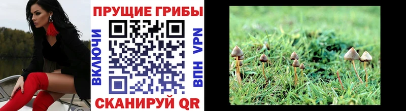 omg онион  Заинск  Галлюциногенные грибы мухоморы 